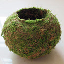 6-18cm Moss Weaved Ball Shape Flower Pot Succulent Planter Green Basket