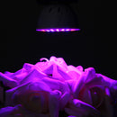 3W E27 36LED 2835 Full Spectrum Grow Light Bulb Hydroponic Veg Plants Lamp