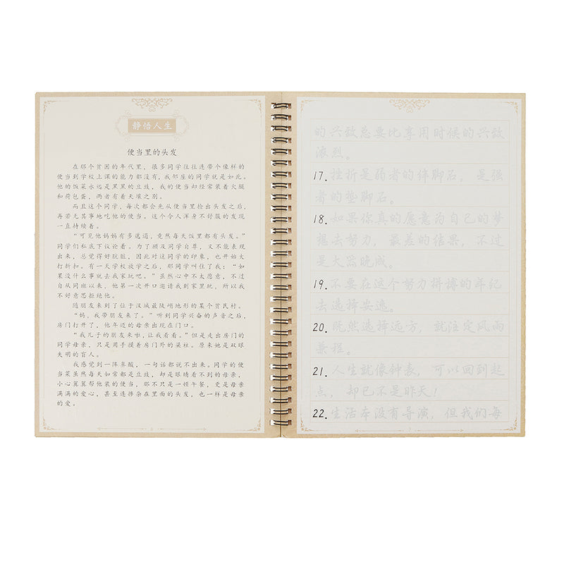 Xingkai Calligraphy Practice Poster High-Grade Pen Hard Pen Set Adult Xingkai Poster