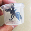 5 Pieces Plastic Cups Insect Cage Box With Magnifying Top