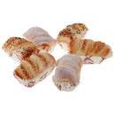 6pcs/Lot Artificial Sesame Bun Realistic Faux Food Festive Party Supplies for Bakery Shop Window Display