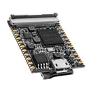 Lichee Pi NanoFW(16M) Cross-Border Core Board with WIFI Module + TF WIFI Adapter Development Board