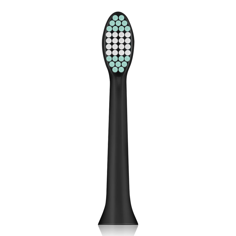 ToothBrush Head White & Black for Loskii PA-213 Ultrasonic Vibration Electric Toothbrush