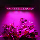 25W 75 LED Plant Grow Light Lamp Full Spectrum For Flower Seeds Greenhouse Indoor