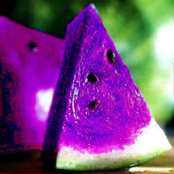 20Pcs Watermelon Multi-color Flesh Magic Garden Seeds Summer Cool Fruit Garden Farm Landscape