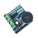 Mini PAM8403 2 Channel Double Track Power Amplifier Module Volume Adjustment