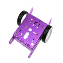 2WD Metal Smart Car Chassis Kit With Speed Motors, Wheels and Castor Wheel