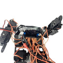17 Degrees Of Freedom Classic Humanoid Dance Robot / Bipedal Walking Robot