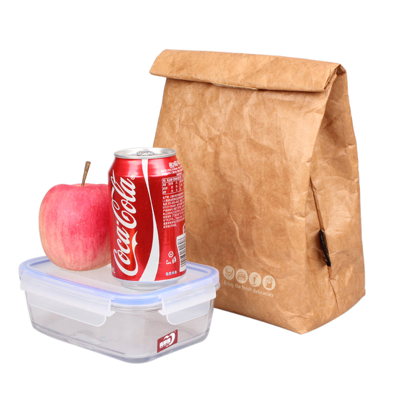 SANNE 6L Brown Paper Lunch Bag Reusable Box Sack Durable Insulated Thermal Kraft Paper Bag Snack