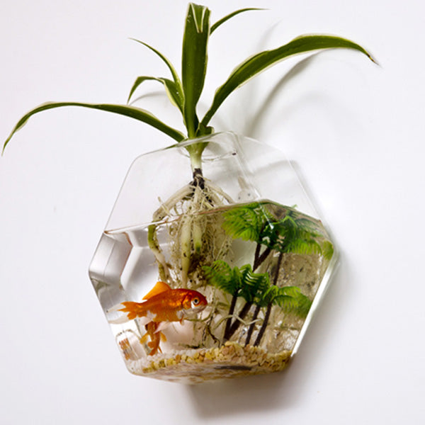 Wall-mounted Hexagon Flower Plant Glass Vase Home Garden Wedding Party Decoration