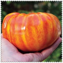 Egrow 100 Pcs/Bag Giant Tomato Seeds Plants Organic Heirloom Plants Vegetables Perennial Non-GMO Plant Pot For Home Garden Planting