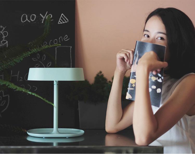 MUID Makeup Mirror Desk Lamp Table Dressing Mirror Bedside Night Lamp Princess Makeup Mirror LED Lamp Night Light