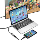 Zinc Alloy Type-C USB-C 3.1 Male to 4K@60Hz Video Display USB-C Female 20V5A PD Charge Cable