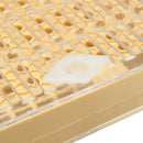 Bee Queen Rearing Cell Cupkit Box Case For Cupularve System Beekeeping Tools Set