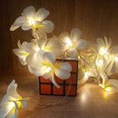Battery Powered 3M 5M Frangipani Shaped Warm White Fairy String Light for Christmas Party