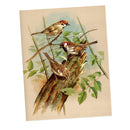 DIY 5D Diamond Painting Kit Birds Diamond Rhinestone Embroidery Cross Stitch Ornaments Arts Craft Canvas Wall Decoration