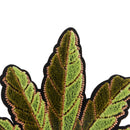 New Embroidered Leaf Shaped Applique Iron On Sew On Patches for Clothes Bags Hat Decor