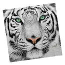 Full Drill White Tiger DIY 5D Diamond Painting Embroidery DIY Paint By Number Kit Home Wall Decoration