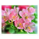 Pink Flower 5D Diamond Painting Embroidery DIY Paint By Number Kit Home Wall Decoration 36x30cm