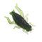 ZANLURE 50pcs/set 2.5cm 0.6g Soft Lure Artificial Cricket Bait Fishing Lure Insect Bait
