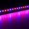 10PCS 50CM SMD5730 Red:Blue 3:1 LED Plant Grow Rigid Strip Hydroponic Light Kit DC12V