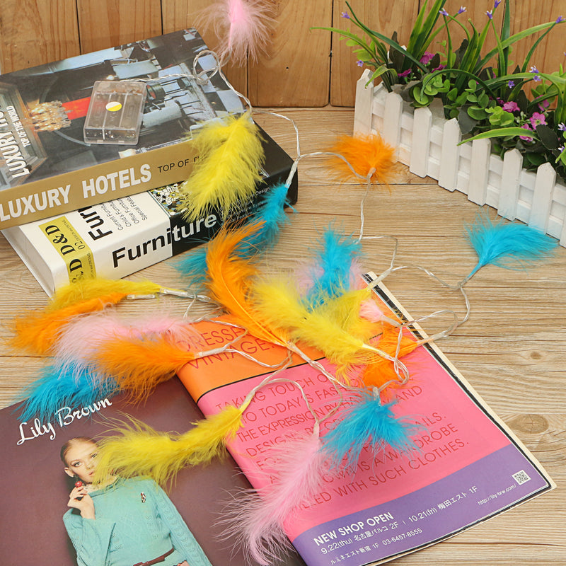 Battery Powered 1.2M 2.2M Colorful Feather Shaped Warm White Indoor Fairy String Light For Christmas
