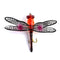 ZANLURE Fishing Topwater Insect Hard Bass Lure Weight 17g Length 12.5CM