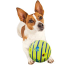 6 Inch Pet Dog Play Ball Training Chew With Funny Sound Toys Squeaky Giggle Ball
