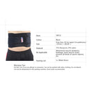 Adjustable Lumbar Back Brace Support Breathable Dual Adjustable Straps for Lower Back Pain Relieving