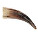 Natural Traditional Handheld Scalp Massager Head Massage Comb Brush Tool