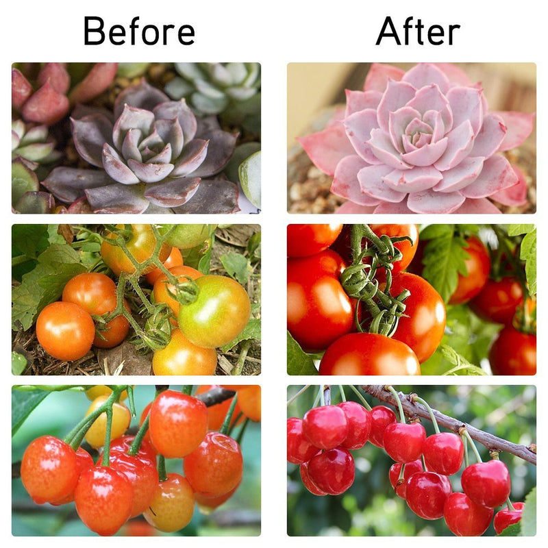 Full Spectrum 30W LED Grow Light Desk Clip With 360 Flexible Swivel Gooseneck Plant Growing Lamp