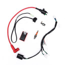 BIKIGHT 50-150cc Wiring Harness Kit Universal Motorcycle Cycling Bike Dirt Pit