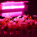 Full spectrum 50W COB Plant Grow Hydroponi Iodine Light Floodlight Waterproof AC110V / 220V