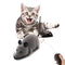 Creative Pet Toys Electronic Remote Control Mouse Pet Cat Dog Toy Lifelike Funny Flocking Rat Toy