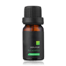 6 Pcs 10mL Aromatherapy Essential Oil Set 100% Pure kit Bottles Gift Box