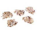 Sea Shell Resin Seashells Home Decoration Beach Theme Party Fish Tank Filler