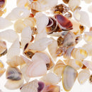 Sea Shell Resin Seashells Home Decoration Beach Theme Party Fish Tank Filler