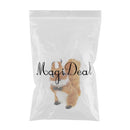 Simulation Lifelike Squirrel Model Toy For Home Garden Ornaments Collection