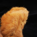 Simulation Lifelike Squirrel Model Toy For Home Garden Ornaments Collection