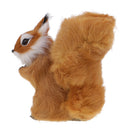 Simulation Lifelike Squirrel Model Toy For Home Garden Ornaments Collection