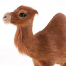 Simulation Plush Animal Pet Model Camel Model Figure Children Toy Home Decor