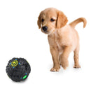 Pet Dog Tough Treat Training Toys Chew Sound Activity Squeaky Ball Chew
