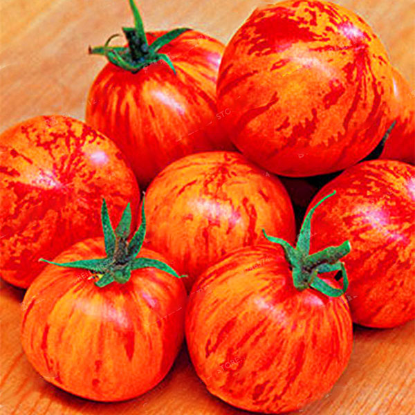 Egrow 100Pcs/Pack Red Green Yellow Tomato Seed Greenhouse Potted Organic Vegetable& Fruit Seeds