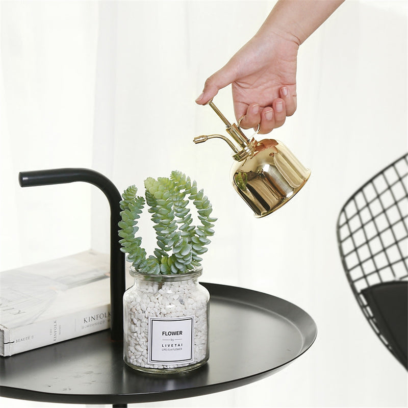 300mL Mini Brass Home Plant Mister Plunger Flower Water Spray Bottle Potted Spraying Watering Can Decorations