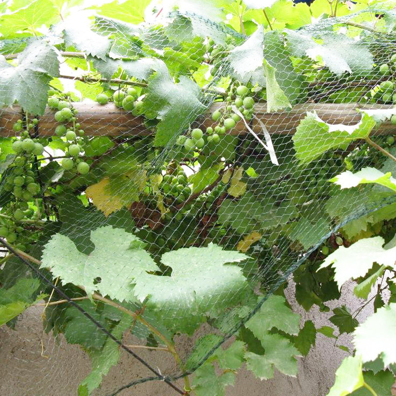 Gardening Anti Bird Net Protect Tree Net Fruit Crop Plants Pond Netting Mesh 2m x 10m