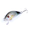 ZANLURE 5PCS 5CM 3.8G Fishing Lures Wobblers Painting Series Fishing Topwater Artificial Hard Baits