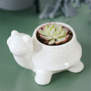 Ceramic Succulent Plant Container Flower Pot Planter Holder Vase Animal Shape Decorations