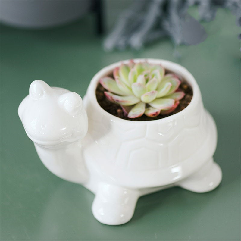 Ceramic Succulent Plant Container Flower Pot Planter Holder Vase Animal Shape Decorations