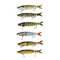 ZANLURE 6PC Fishing Lure 8 Segments Hard Bait 13cm/19g Artificial Lifelike Swimbait with Hook Pike