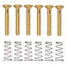 6 Pcs of Set Electric Guitar Single Coil Pickup Frame Fixing Screws Springs Musical Instrument Accessory